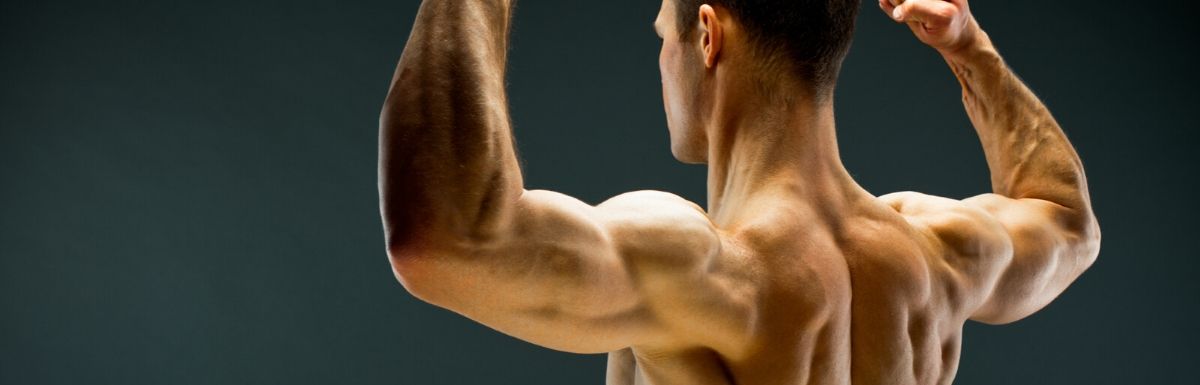 HIT Training: Massives Muskelwachstum in Minimalzeit?