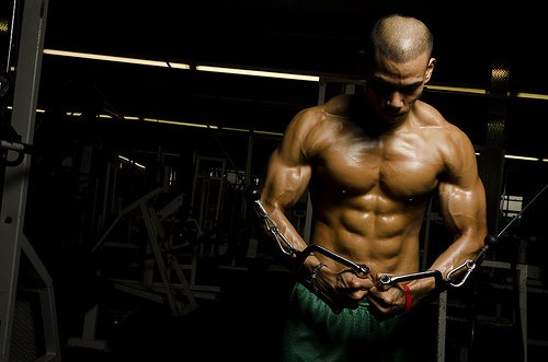 Muskelaufbau Tipps