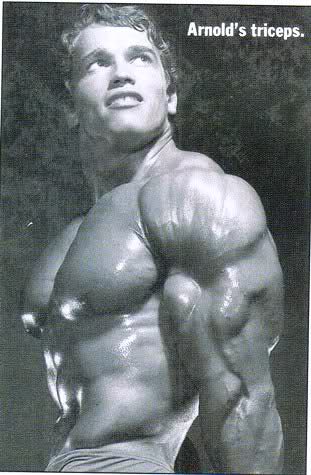 Arnold Triceps