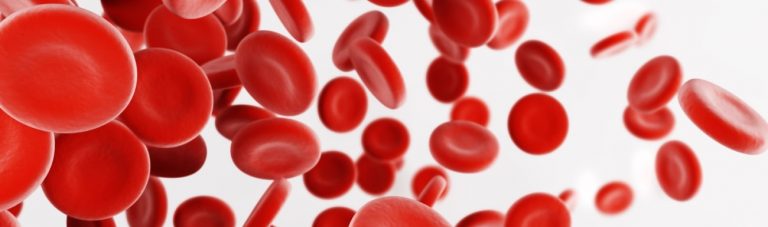 Blutwerte verstehen: Was Dein Blut über Deine Fitness verrät