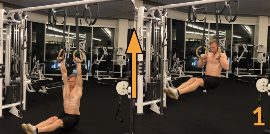 Muscle-Up lernen: Training Übung 1 Klimmzug Pull Up