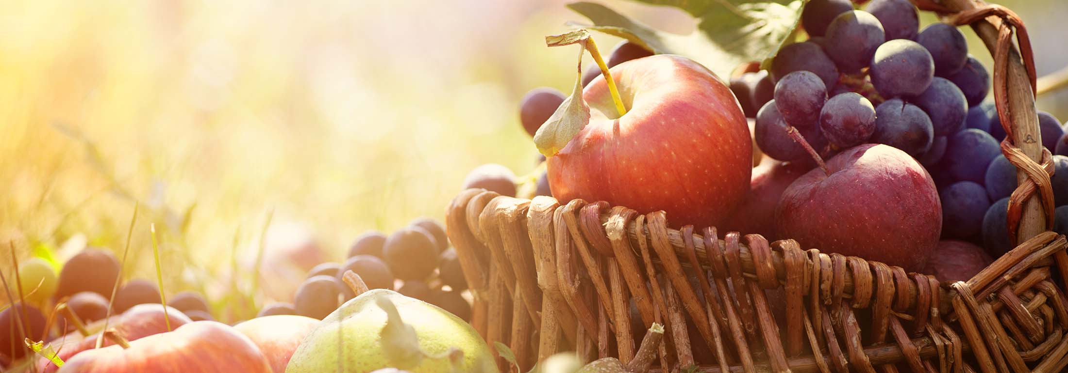 Obst Äpfel Kohlenhydratre
