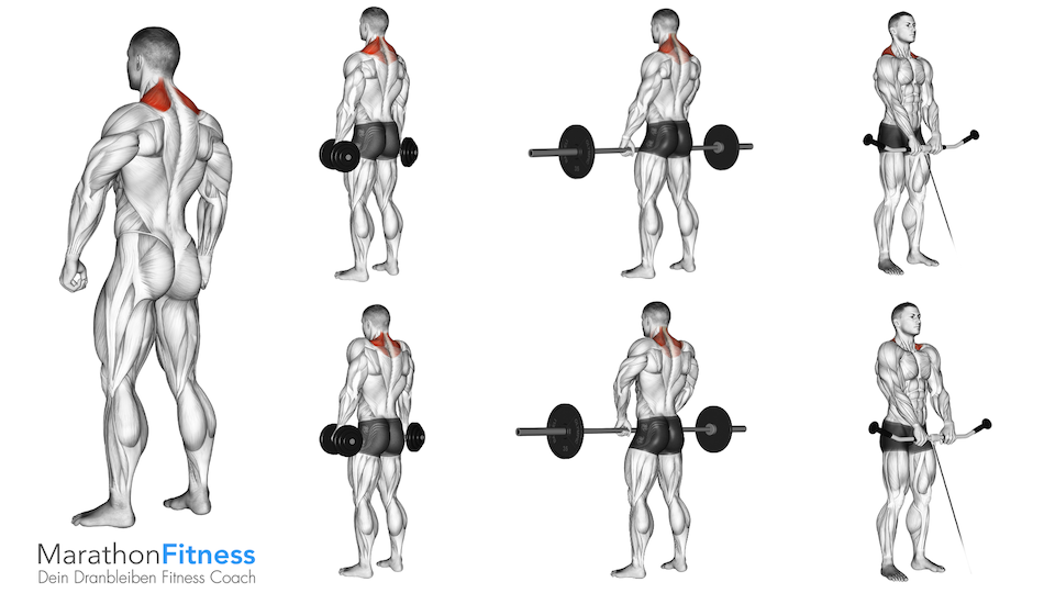 shrugs Varianten