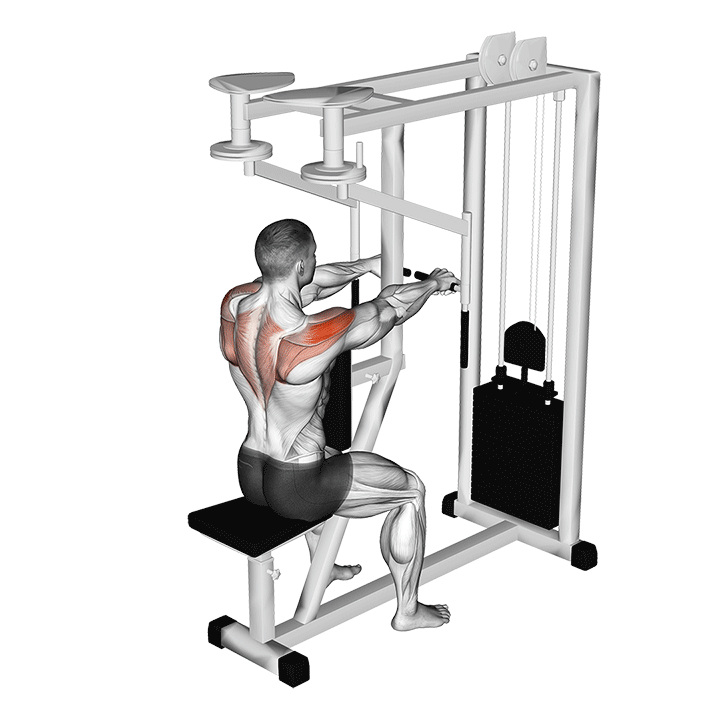 Rear delt Seated Fly