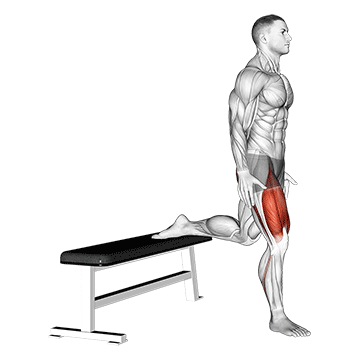 Bulgarian Split Squats ohne Gewichte
Ausführung