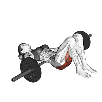 Glute Bridge mit der Langhantel
Ausführung