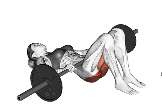 Glute Bridge mit der Langhantel
Startposition