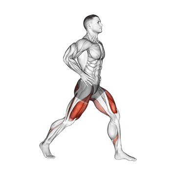 Split Squats ohne Zusatzgewichte
Ausführung