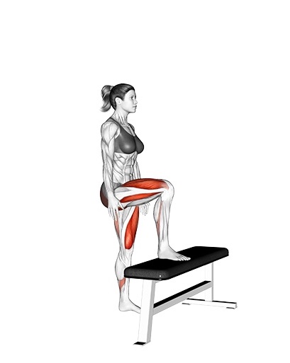 Front Step-Ups
Startposition
